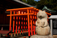 Takamatsu, Yashima Temple, Badger0832590