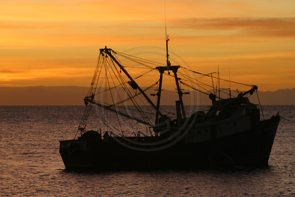 Isla Espiritu Santo, Bahia Gabriel, Shrimpboat031229-5568