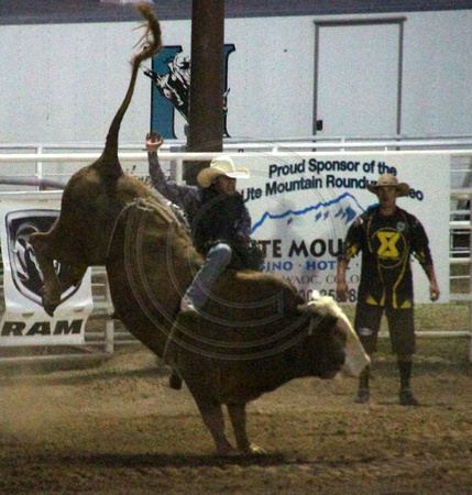 Cortez, Ute Mtn Roundup Rodeo, Bull Riding1117864a