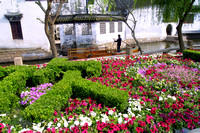 Zhouzhang, Flowers020411-7393a