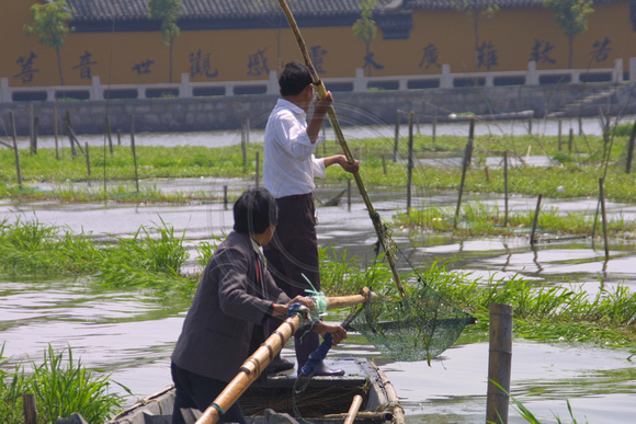 Nanhu Canal, Fishing Plants020412-7729
