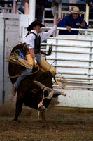 Cortez, Ute Mtn Roundup Rodeo, Bull Riding1117852a