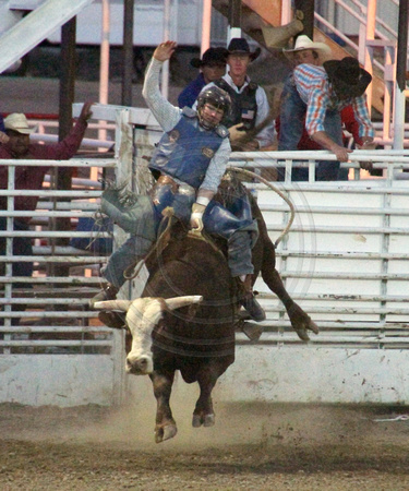 Cortez, Ute Mtn Roundup Rodeo, Bull Riding1117845a