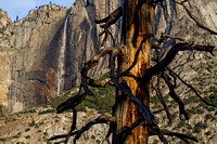 Yosemite NP, Upper Yosemite Falls112-3388