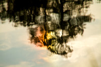 Odd Reflection, Bass Lake, Holly Springs NC