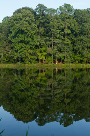 Reflections, Bass Lake, Holly Springs NC, V