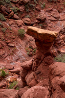 Moab, Fisher Towers Tr V131-6863