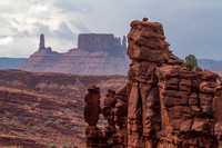 Moab, Fisher Towers Tr131-6858