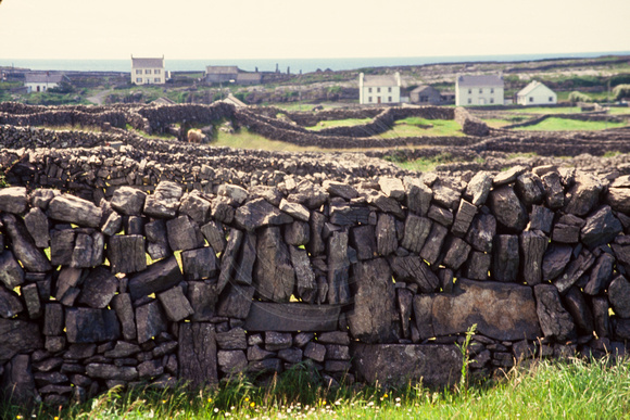 Isle of Inishmore, Stone Wall S -0391