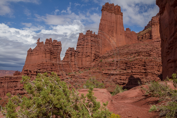 Moab, Fisher Towers Tr131-6849