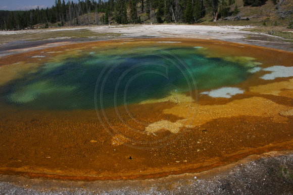 Yellowstone NP, Beauty Pool0826079