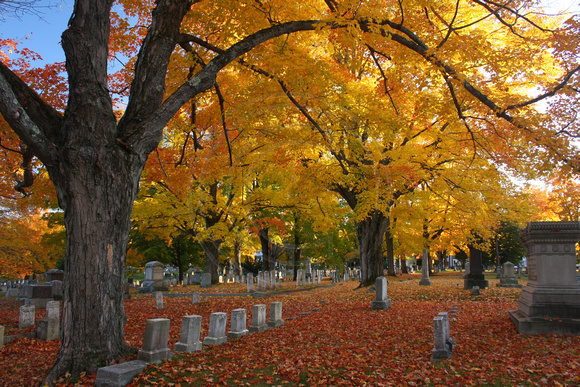 Dover, Pine Hill Cemetery, Fall Foliage0947794