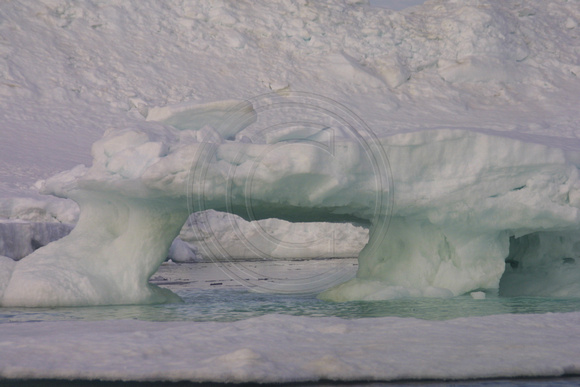 Arakamchechen Is, Iceberg020608-1092
