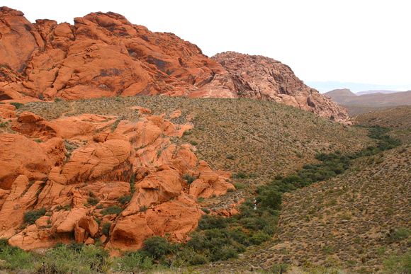 Red Rock Canyon0467475a