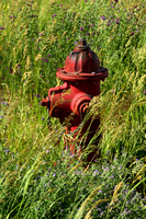 Cortez, Fire Hydrant V1119664a