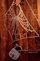 Binsfeld, Frozen Spider Web and Lock S V-4152