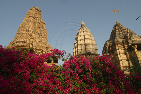 Khajuraho, Lakshmana Temple, Flowers030323-7761