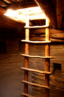 Mesa Verde NP, Spruce House, Ladder V1012165