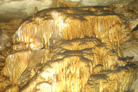 Mammoth Cave NP126-2617a