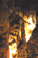 Mammoth Cave NP126-2615a