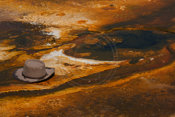 Yellowstone NP, Geyser, Lost Hat0825987