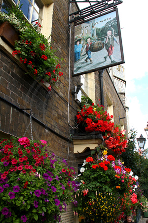 Windsor, Pub, Sign, Flowers V1050495a
