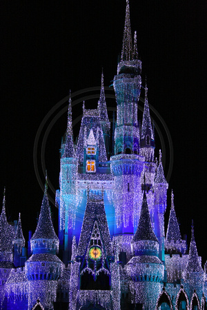 Disney World, Magic Kingdom, Castle N V0835983