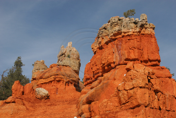 Red Canyon0413465