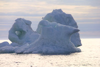 Arakamchechen Is, Iceberg020608-1059