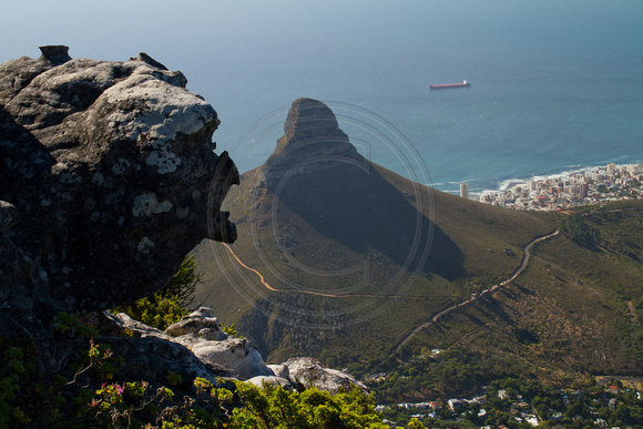 Cape Town, Table Mtn, Lions Head View120-6215