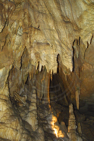 Mammoth Cave NP126-2620