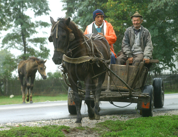 Burlusi, Horse Cart030926-9238a