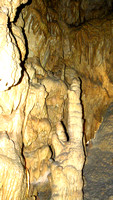 Mammoth Cave NP126-2613a