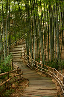 Takamatsu, Shikokumura Village, Bamboo V0834753