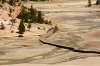 Yellowstone NP, Norris Geyser Basin, Porcelain Basin0826345