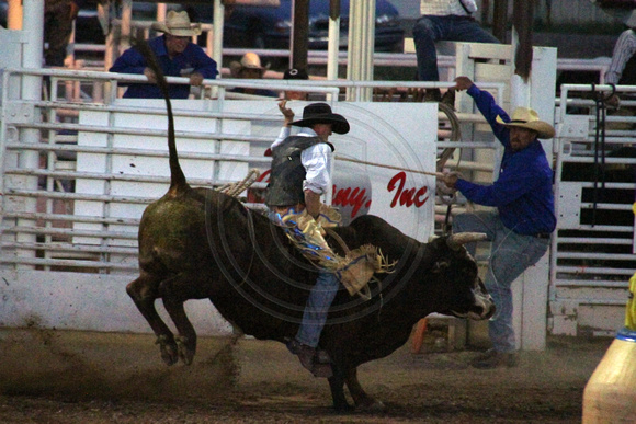Cortez, Ute Mtn Roundup Rodeo, Bull Riding1117853a
