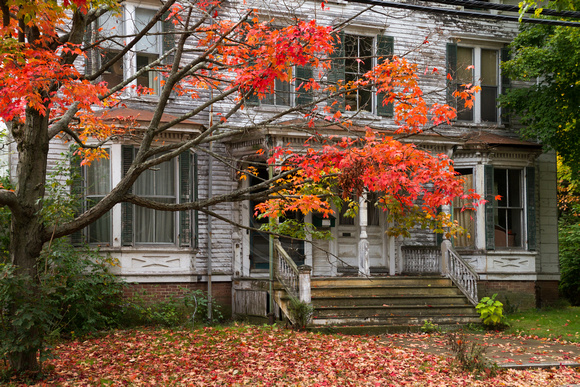 Dover, House, Fall Foliage141-2260