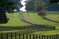 Appomattox, Fences021020-9105