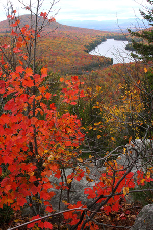 Owls Head View, Kettle Pond V0947651a