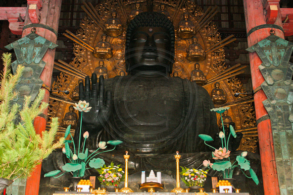 Nara, Todaiji Temple, Daibutsuden, Buddha0616486