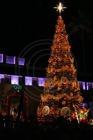 Honolulu, Christmas Lights V0585688
