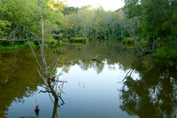 End of the Lake, Bass Lake, Holly Springs NC