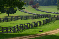 Appomattox, Fences021020-9091