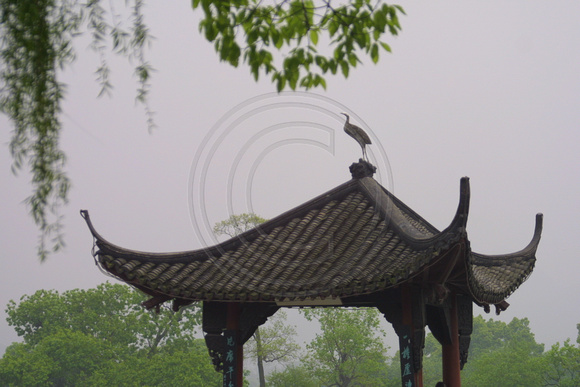 Hangzhou, 3 Pools Is, Bird020407-6520