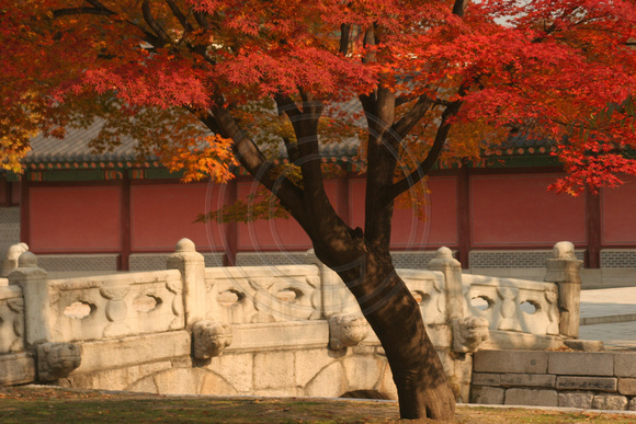 Seoul, Changdeokgung Palace0624919