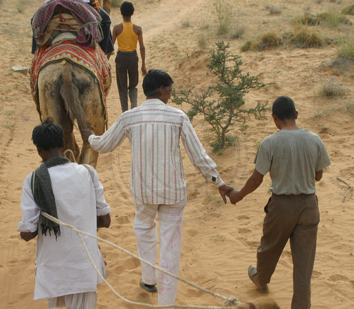 Pushkar, Camel Safari, Men Holding Hands030314-6165a