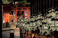 Nara, Kasuga Taisha Shrine, Lanterns0616780
