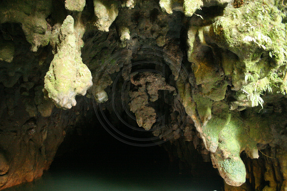 Waitomo, Glowworm Cave0731879