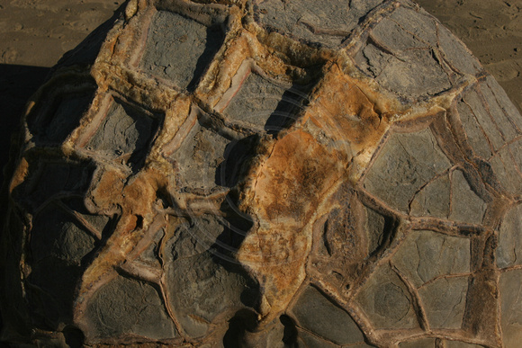 Moeraki, Boulders, Detail0735841