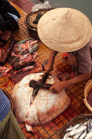 Hoi An, Fish Market S V-8833